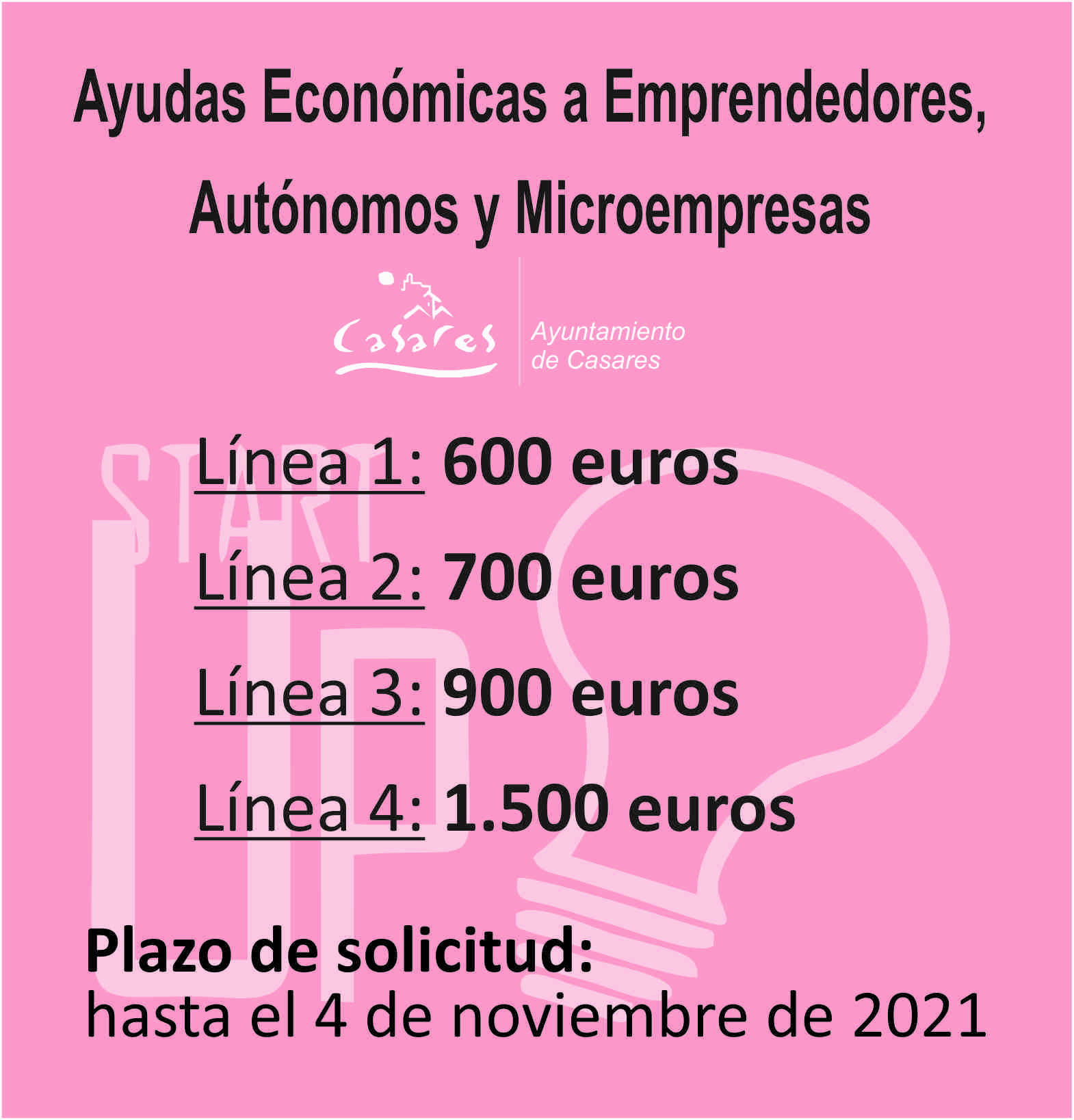 Ayudas económicas para la creación y puesta en marcha de empresas en el ...